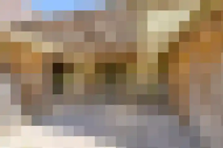 Uilenhoek 37 Delfzijl thumbnail 42