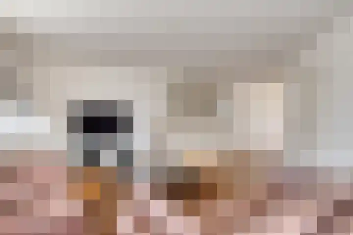 Uilenhoeve 19 Middenbeemster thumbnail 14