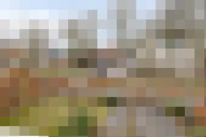 Uilenhoeve 19 Middenbeemster thumbnail 43