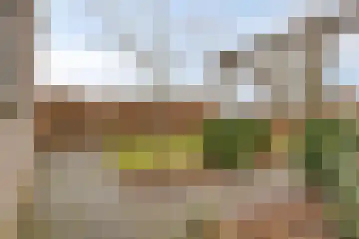 Uilenhoeve 19 Middenbeemster thumbnail 45