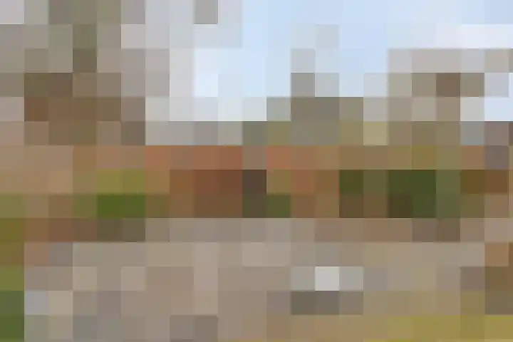 Uilenhoeve 19 Middenbeemster thumbnail 46