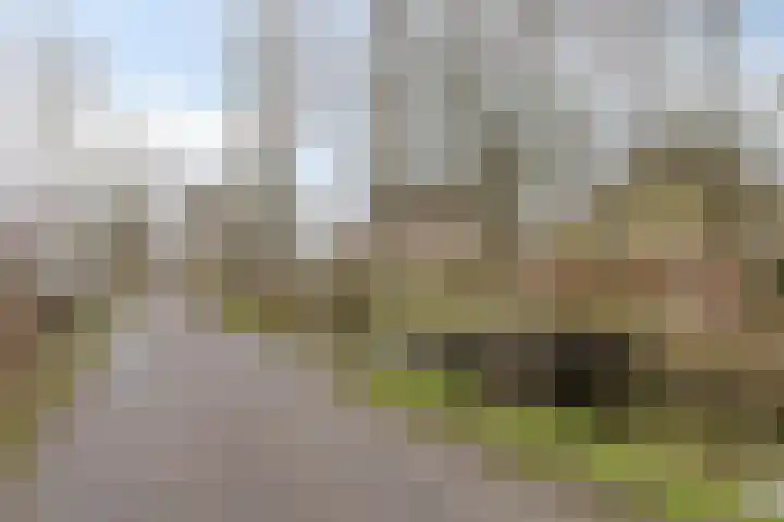 Uilenhoeve 19 Middenbeemster thumbnail 52