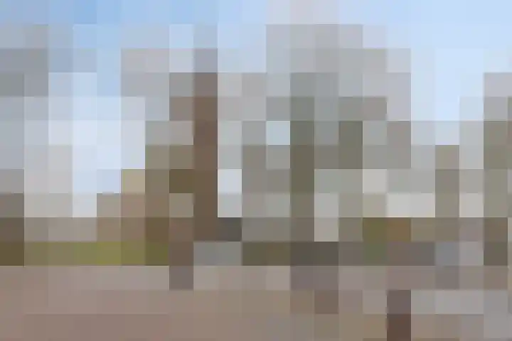 Uilenhoeve 19 Middenbeemster thumbnail 53