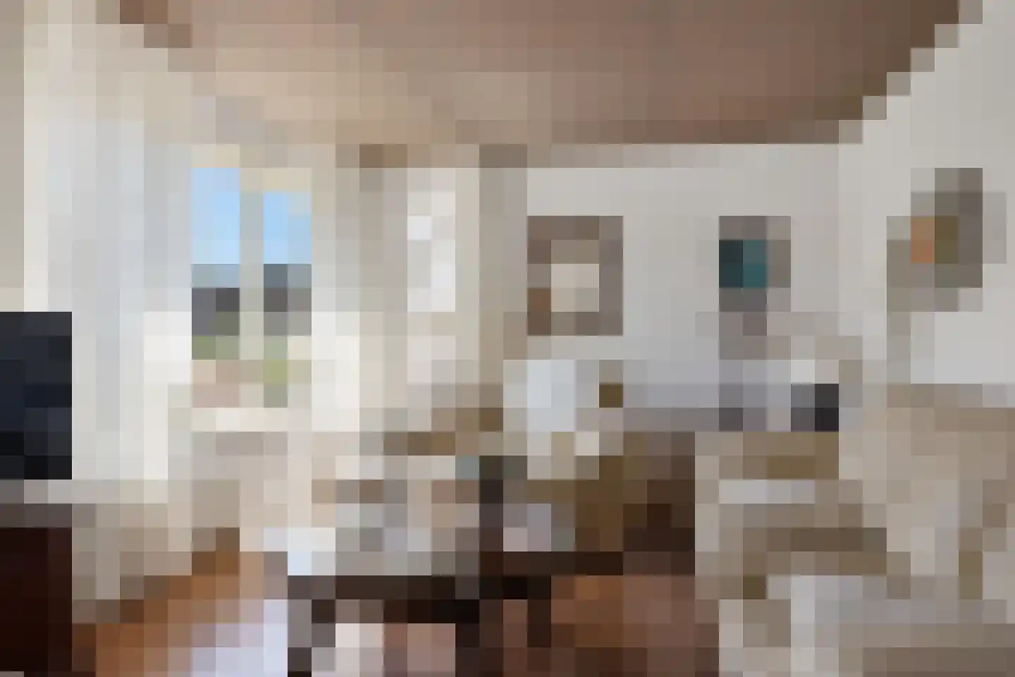 Uilenhof 11 Stadskanaal thumbnail 13