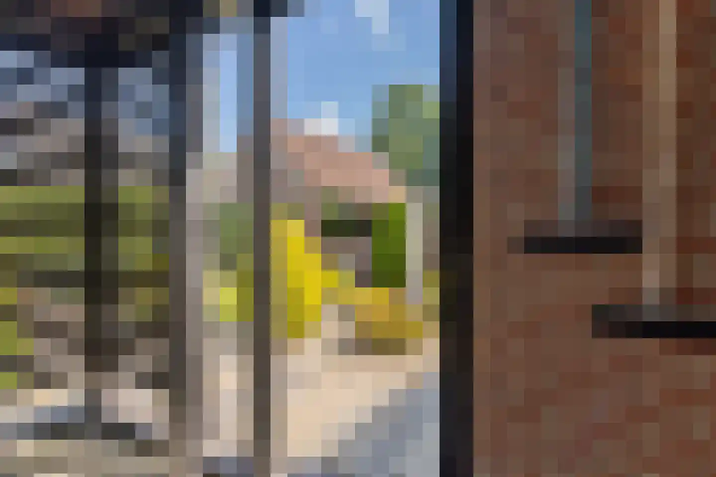 Uilenhof 11 Stadskanaal thumbnail 38