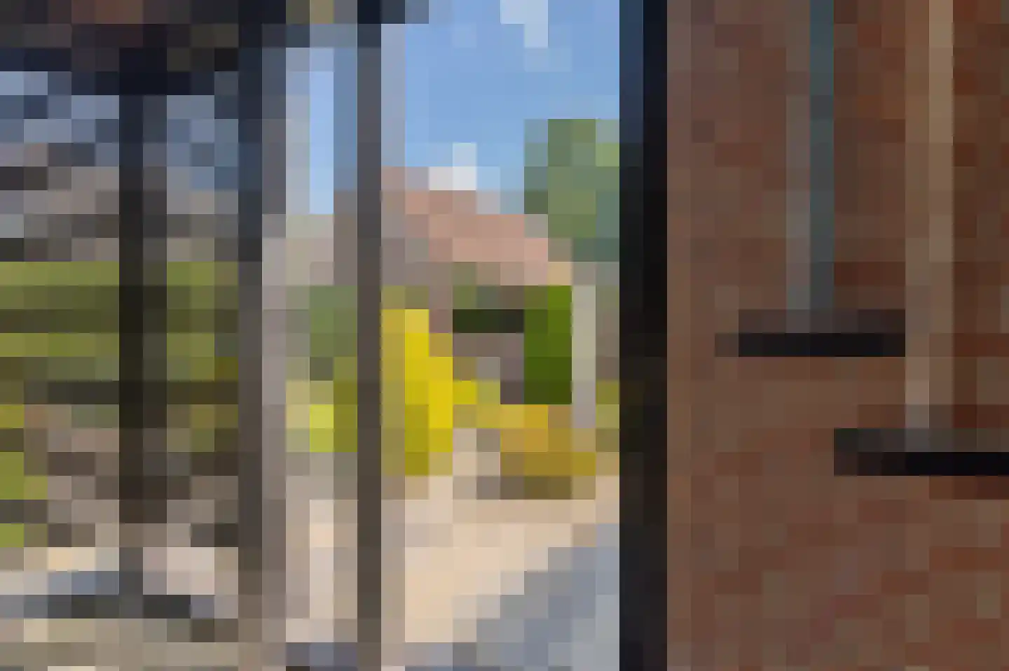 Uilenhof 11 Stadskanaal thumbnail 38