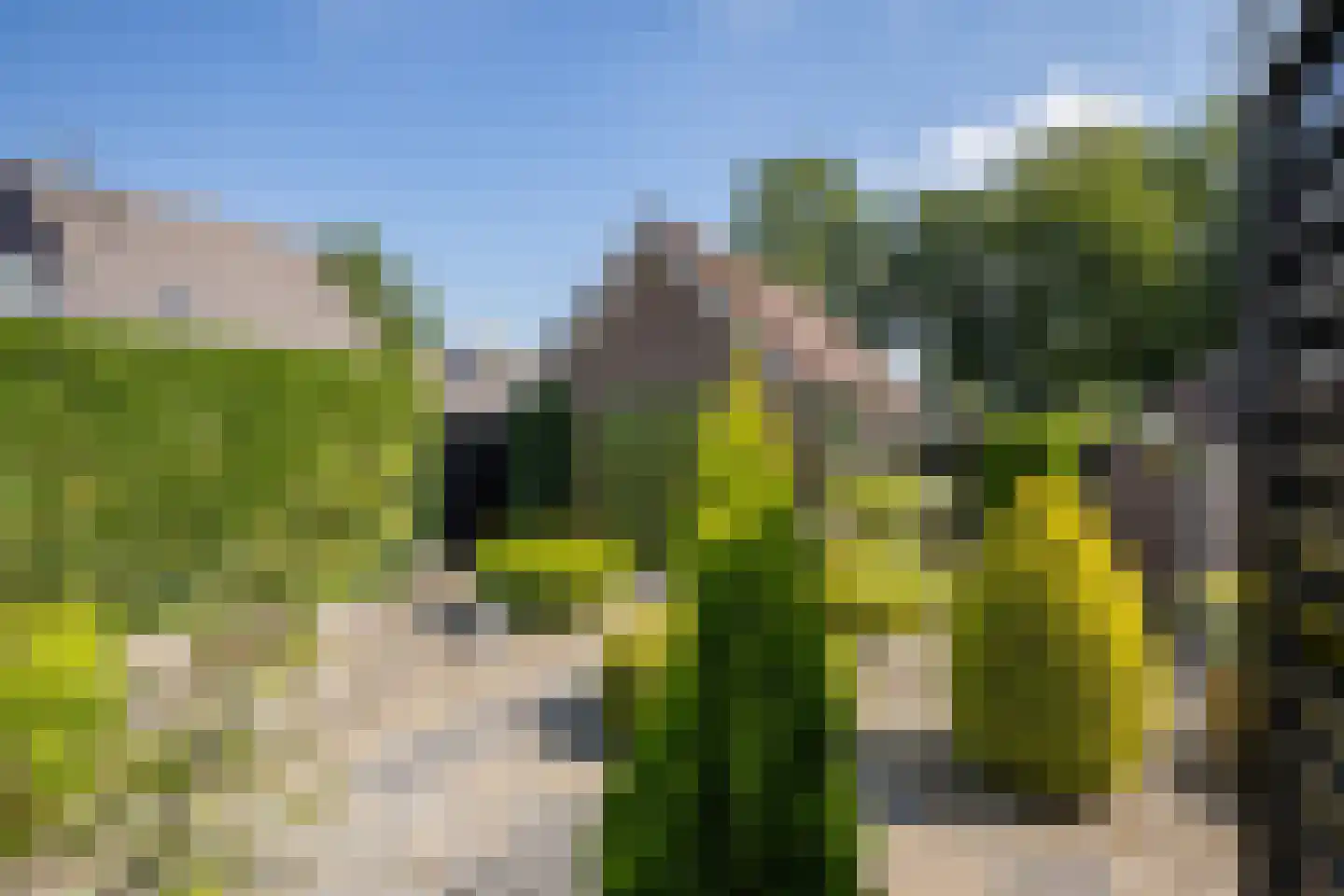 Uilenhof 11 Stadskanaal thumbnail 43