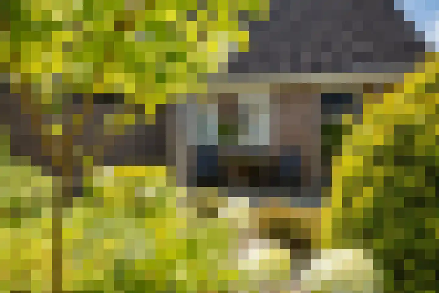 Uilenhof 11 Stadskanaal thumbnail 47