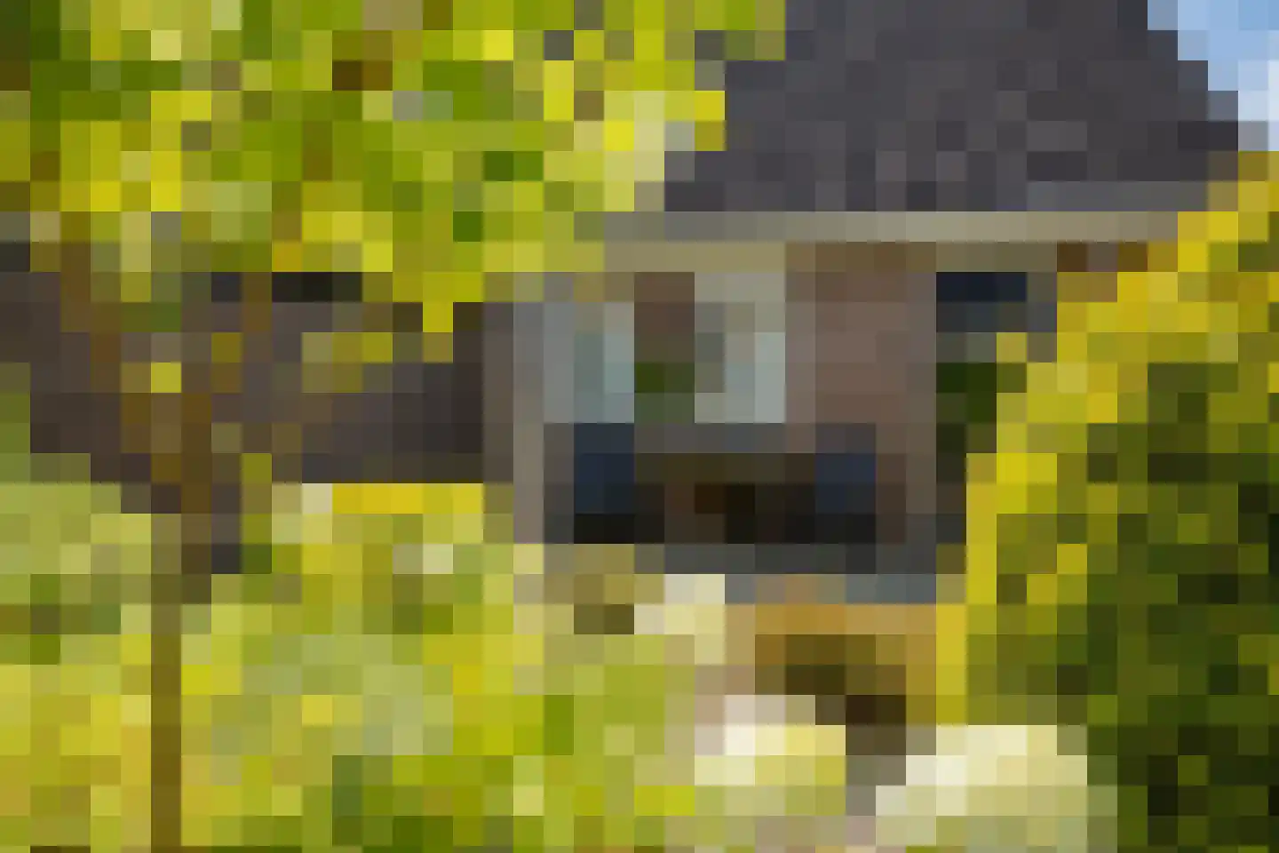 Uilenhof 11 Stadskanaal thumbnail 47