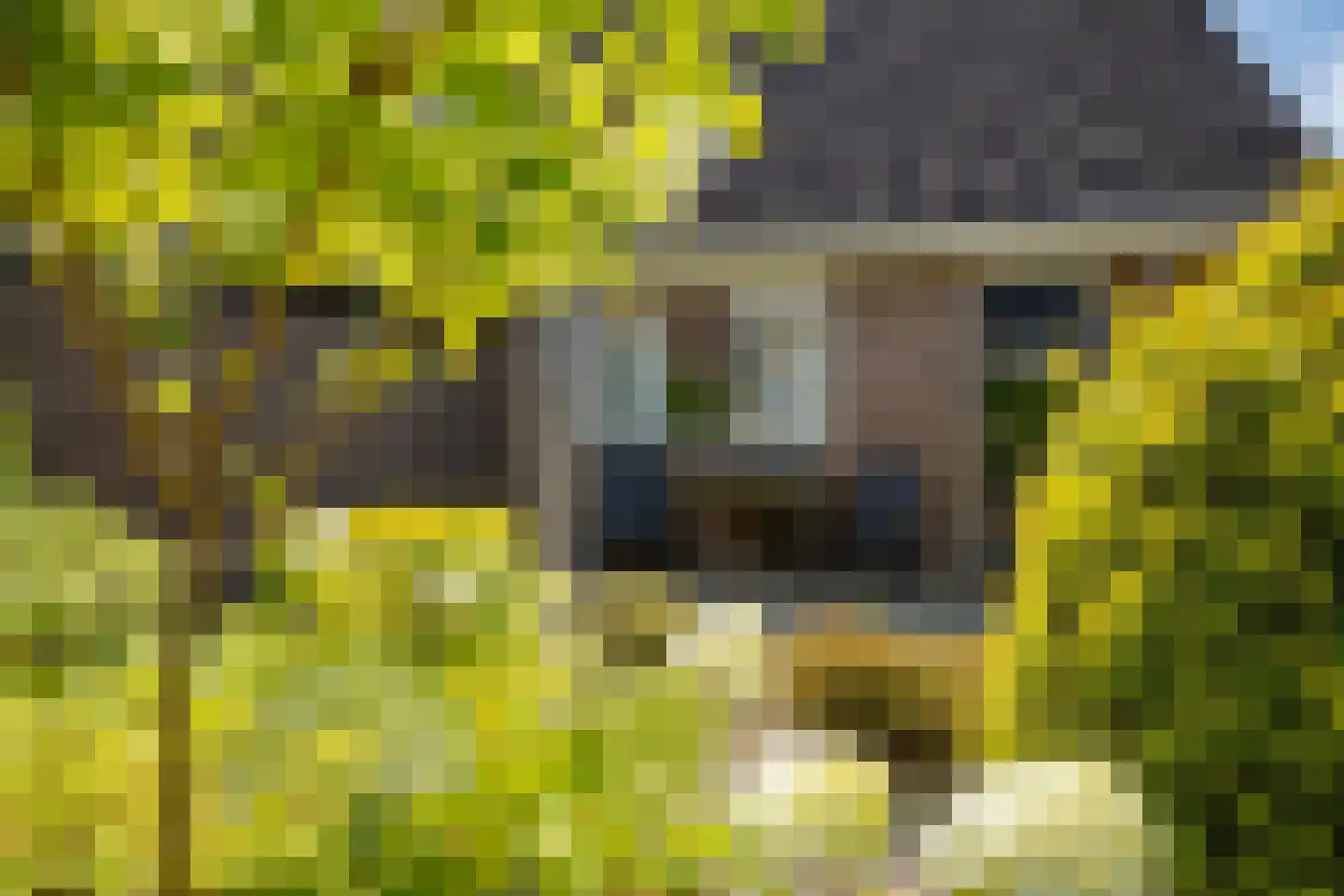 Uilenhof 11 Stadskanaal thumbnail 47