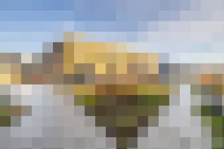 Uilenhof 28 Capelle aan den IJssel thumbnail 44