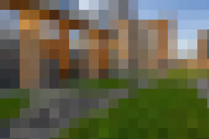Uilenhof 28 Capelle aan den IJssel thumbnail 50