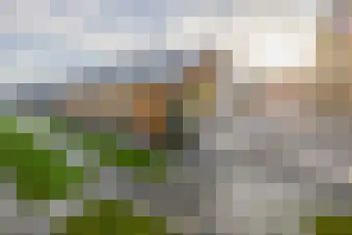 Uilenhof 28 Capelle aan den IJssel thumbnail 52