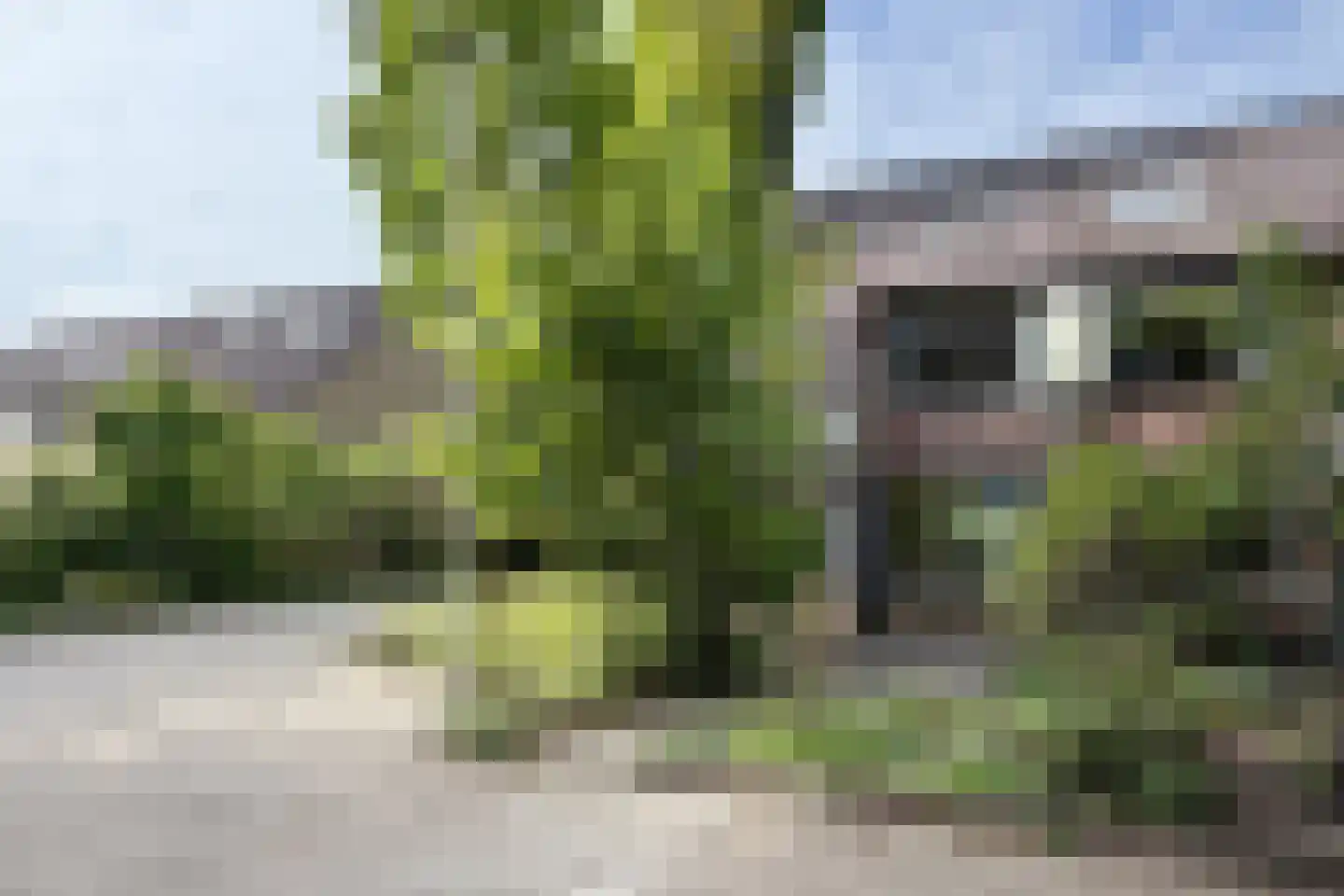 Uilenkamp 25 in Driebergen-Rijsenburg