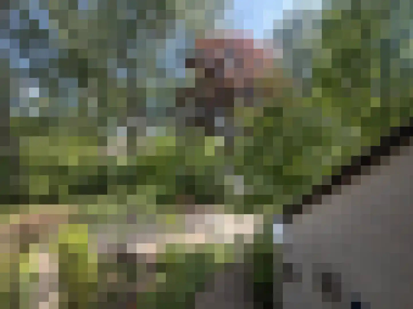 Uilenkamp 25 Driebergen-Rijsenburg thumbnail 22