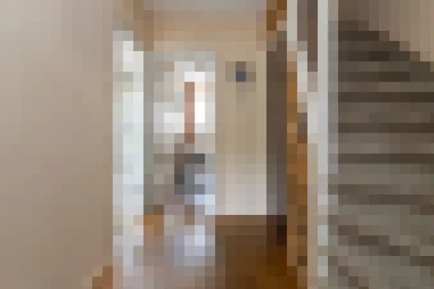 Uilennest 6 Hattem thumbnail 15
