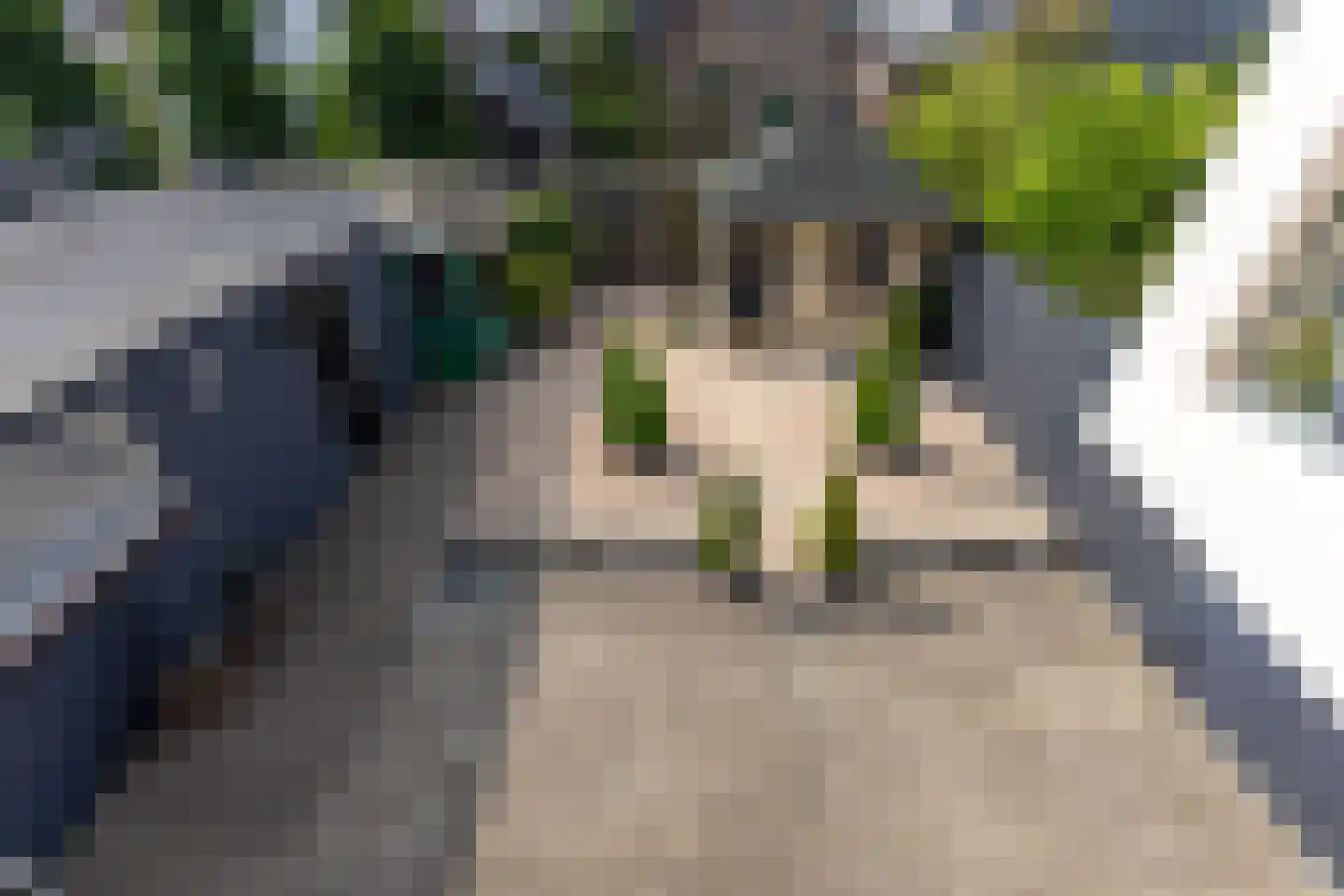Uilennest 6 Hattem thumbnail 21