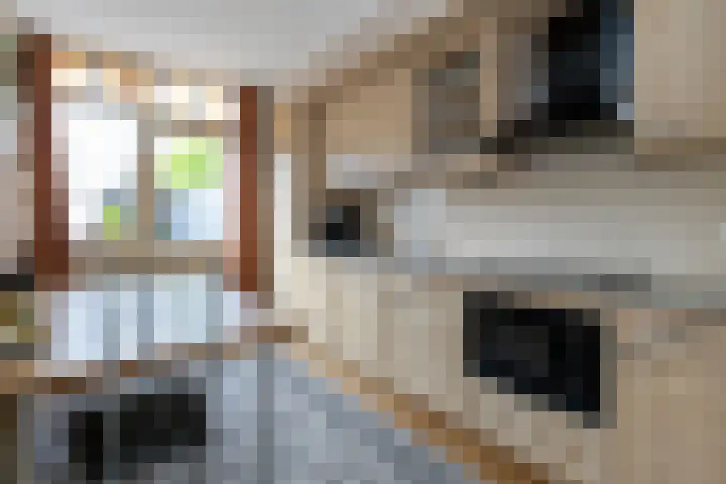 Uilennest 6 Hattem thumbnail 8
