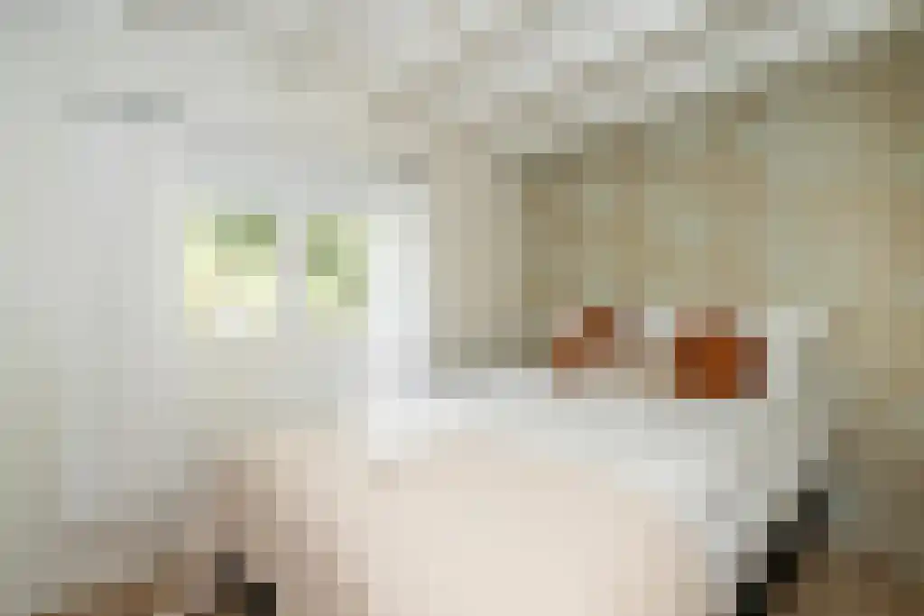 Uilenpad 15 Haaren thumbnail 11