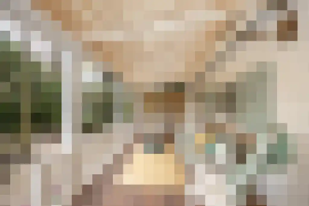 Uilenpad 15 Haaren foto 2