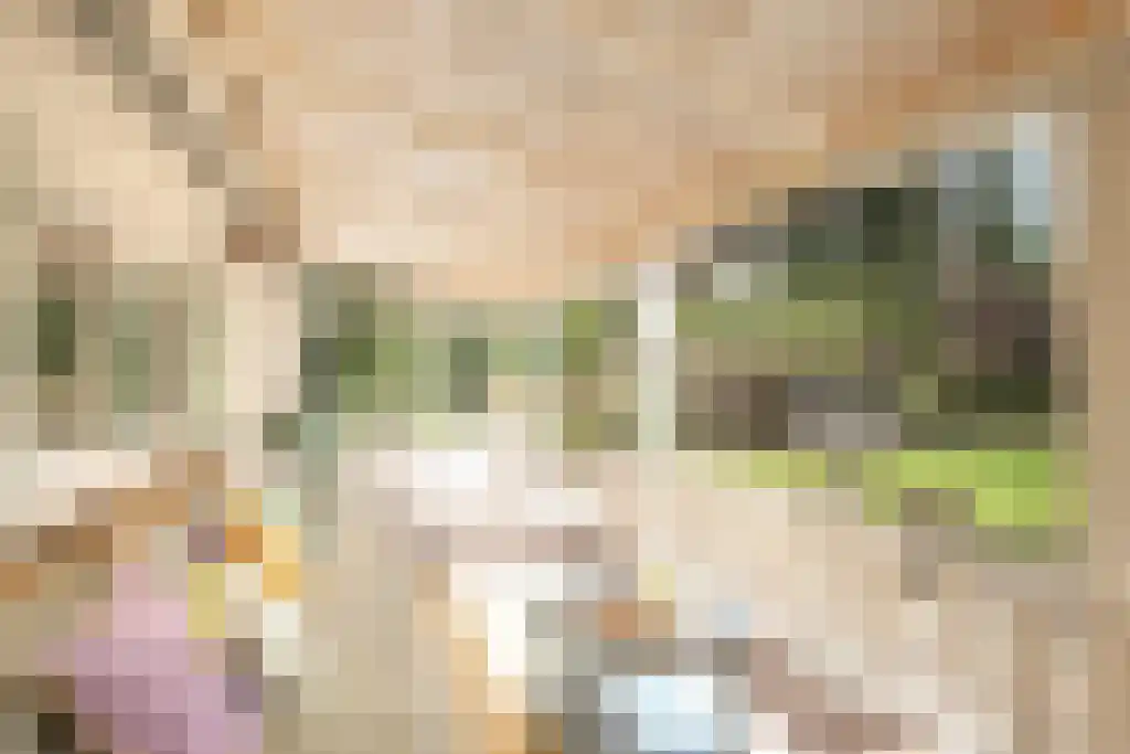 Uilenpad 15 Haaren thumbnail 23