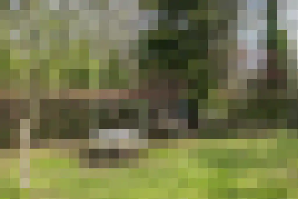 Uilenpad 15 Haaren thumbnail 26