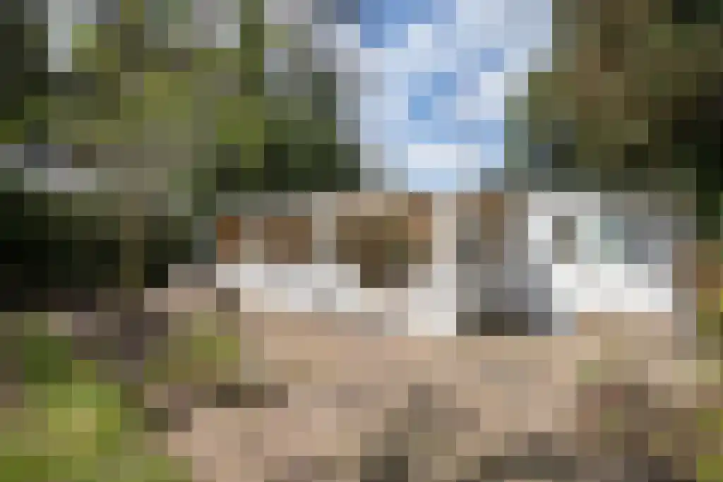 Uilenpad 15 Haaren thumbnail 27