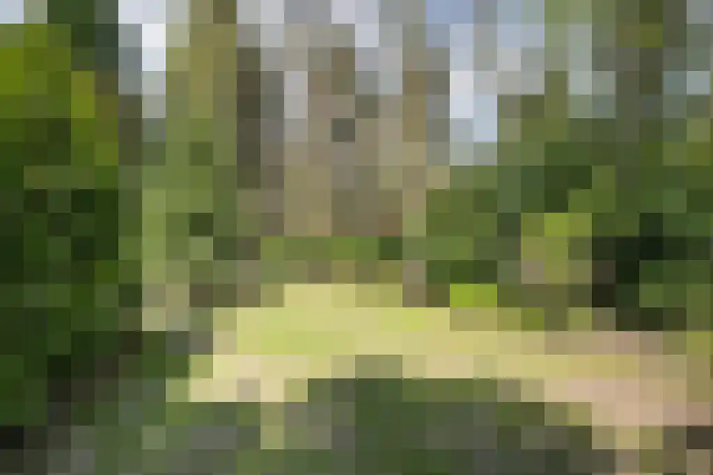 Uilenpad 15 Haaren thumbnail 29