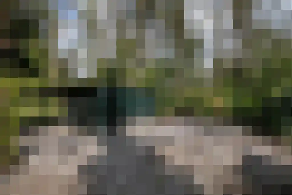 Uilenpad 15 Haaren thumbnail 31