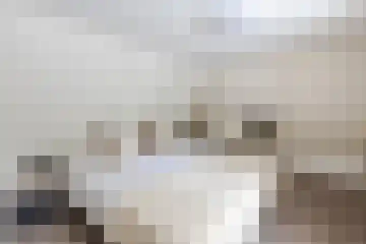 Uilenpad 47 Haaren thumbnail 17