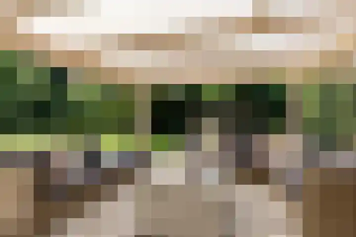 Uilenpad 47 Haaren thumbnail 26