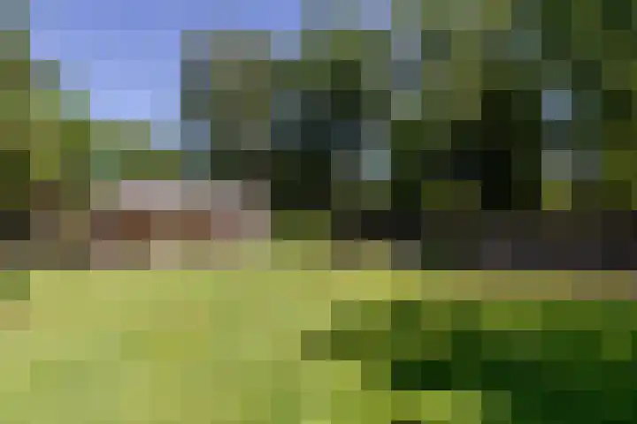 Uilenpad 47 Haaren thumbnail 27