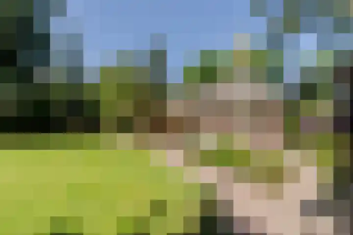 Uilenpad 47 Haaren thumbnail 28
