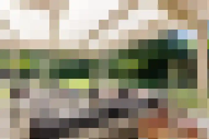 Uilenpad 47 Haaren thumbnail 29