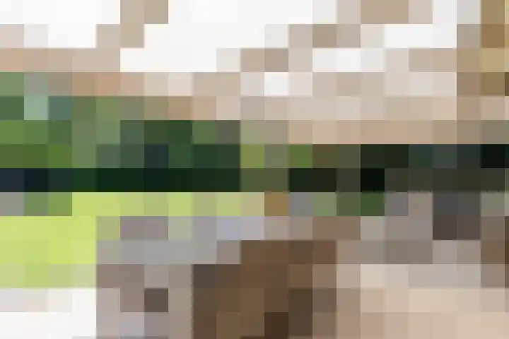 Uilenpad 47 Haaren thumbnail 32