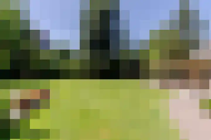 Uilenpad 47 Haaren thumbnail 33