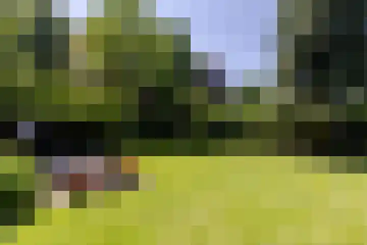 Uilenpad 47 Haaren thumbnail 34