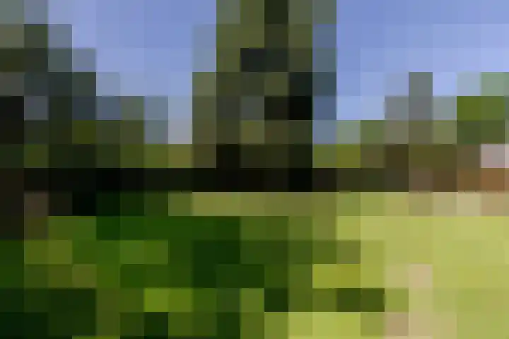 Uilenpad 47 Haaren thumbnail 35