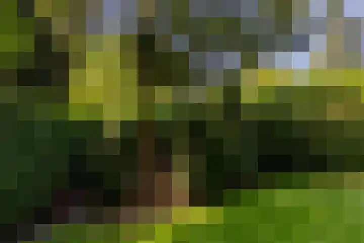 Uilenpad 47 Haaren thumbnail 36