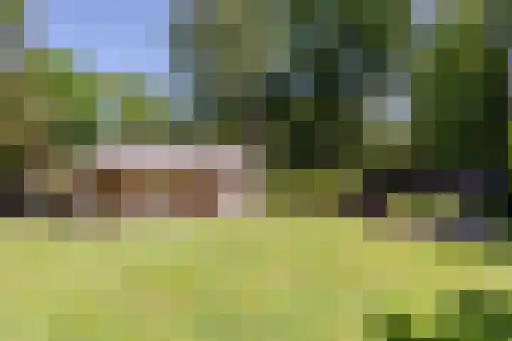 Uilenpad 47 Haaren thumbnail 37