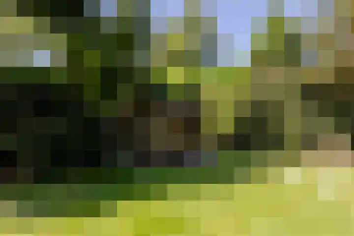 Uilenpad 47 Haaren thumbnail 38