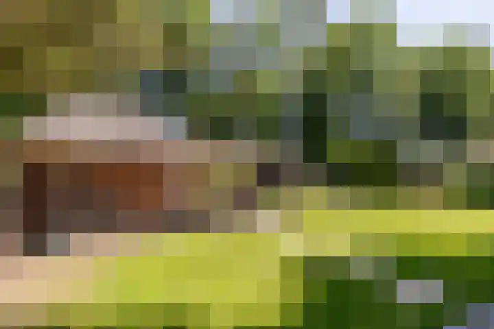 Uilenpad 47 Haaren thumbnail 39