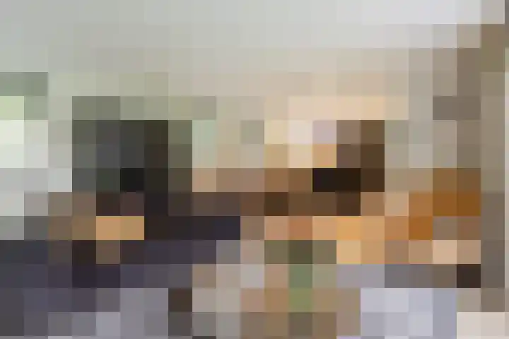Uilenpad 47 Haaren thumbnail 4