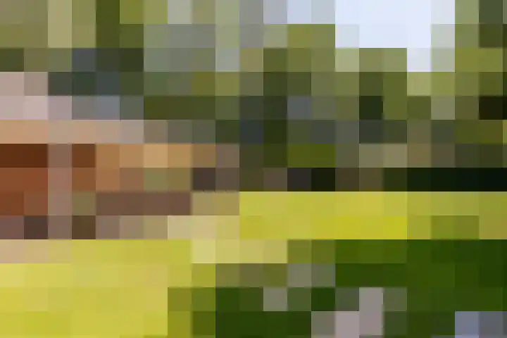 Uilenpad 47 Haaren thumbnail 40