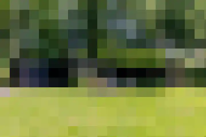 Uilenpad 47 Haaren thumbnail 42