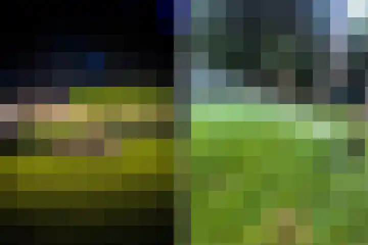 Uilenpad 47 Haaren thumbnail 43