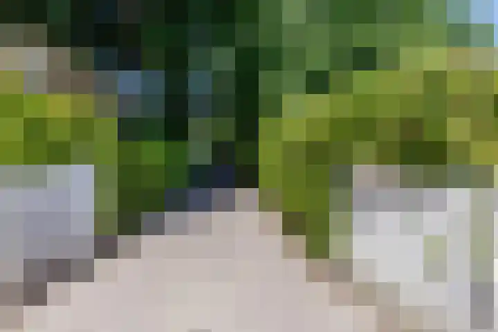 Uilenpad 47 Haaren thumbnail 45