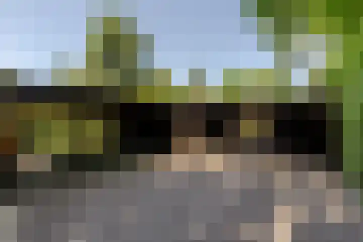 Uilenpad 47 Haaren thumbnail 46