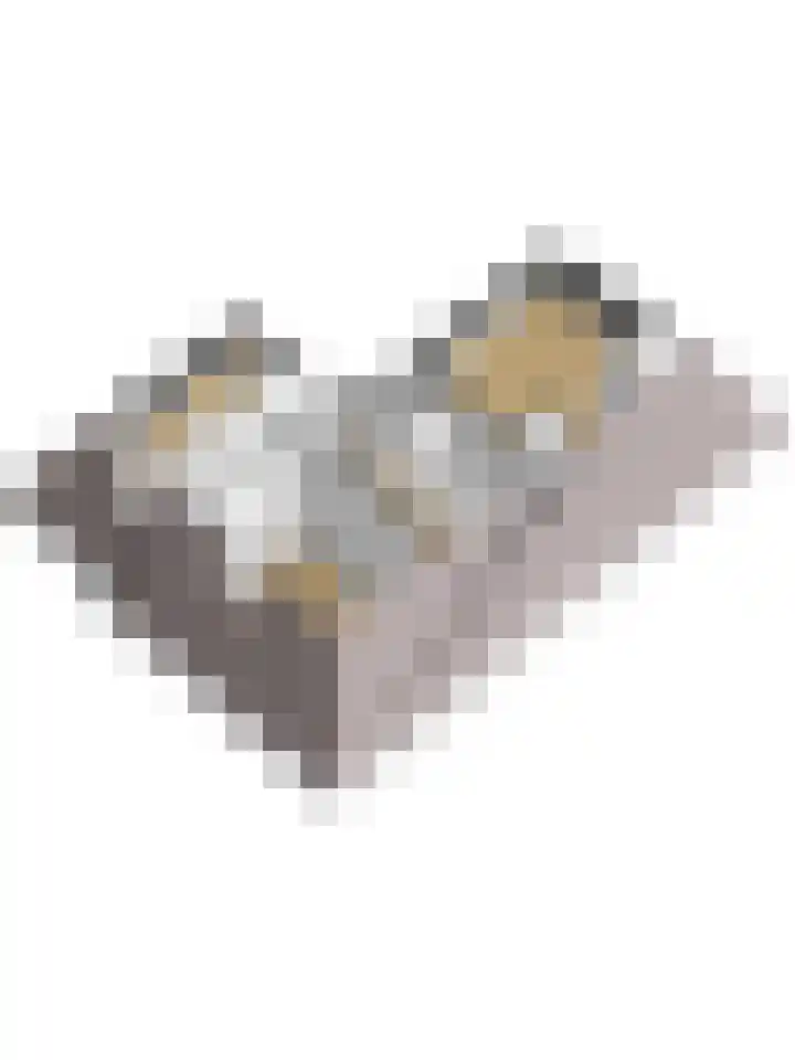 Uilenpad 47 Haaren thumbnail 56