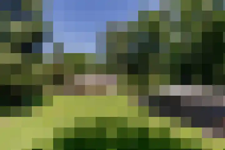 Uilenpad 47 Haaren thumbnail 57